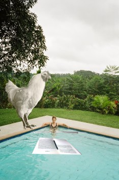 margit mÃ¶ssmer mit hahn